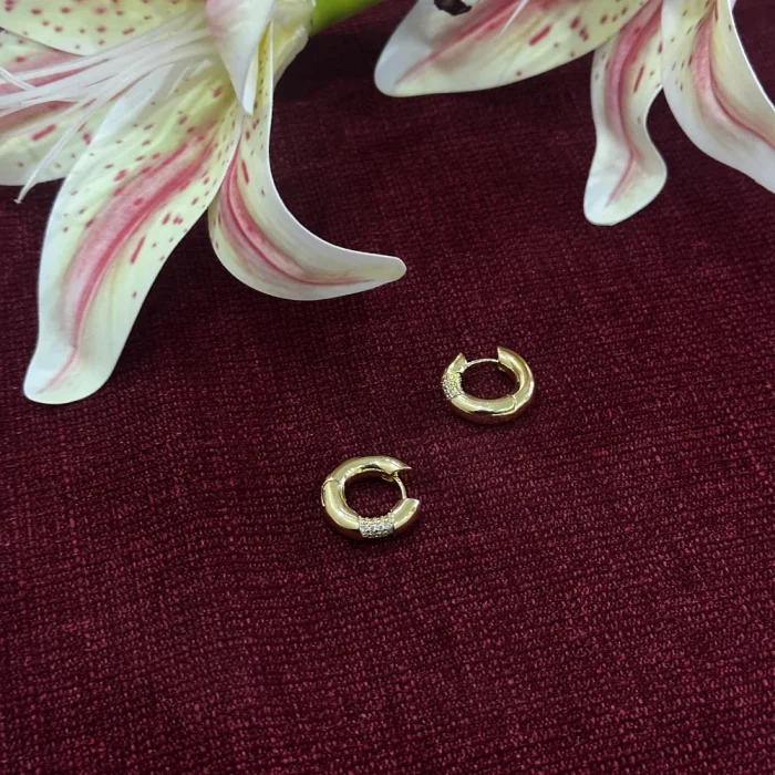 Çelik Zarif Taşlı Küpe Gold