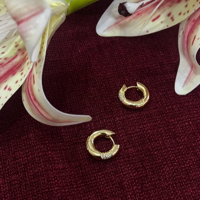 Çelik Zarif Taşlı Küpe Gold