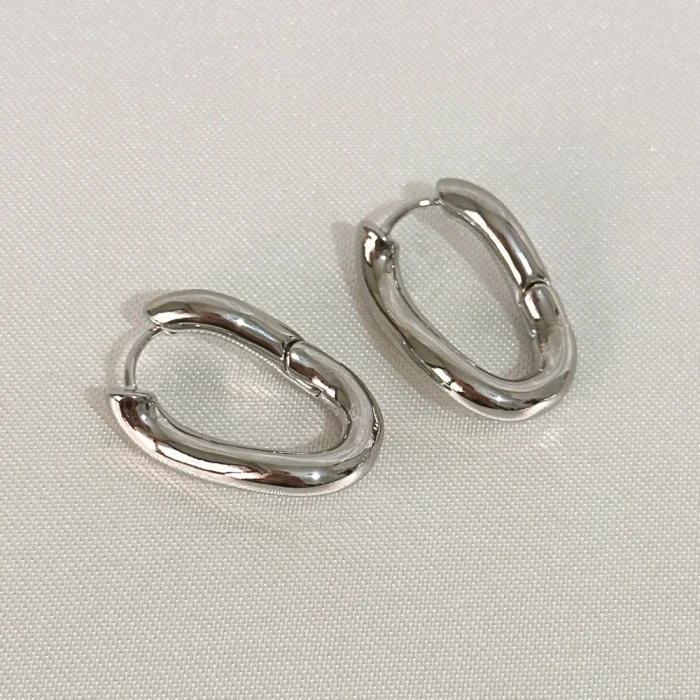 Kıvrımlı Şık Çelik Silver Küpe