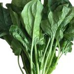 Bursa Geniş Yapraklı Yerli Ispanak Tohumu 500 Gr