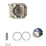Adige Silindir Piston Takımı 44 Mm Çim Modelleri İçin