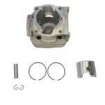 Adige Silindir Piston Takımı 44 Mm Çim Modelleri İçin