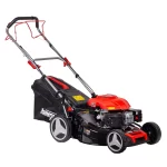 Palmera DM51S-D196 Euro5 Çim Biçme Makinesi Şanzımanlı