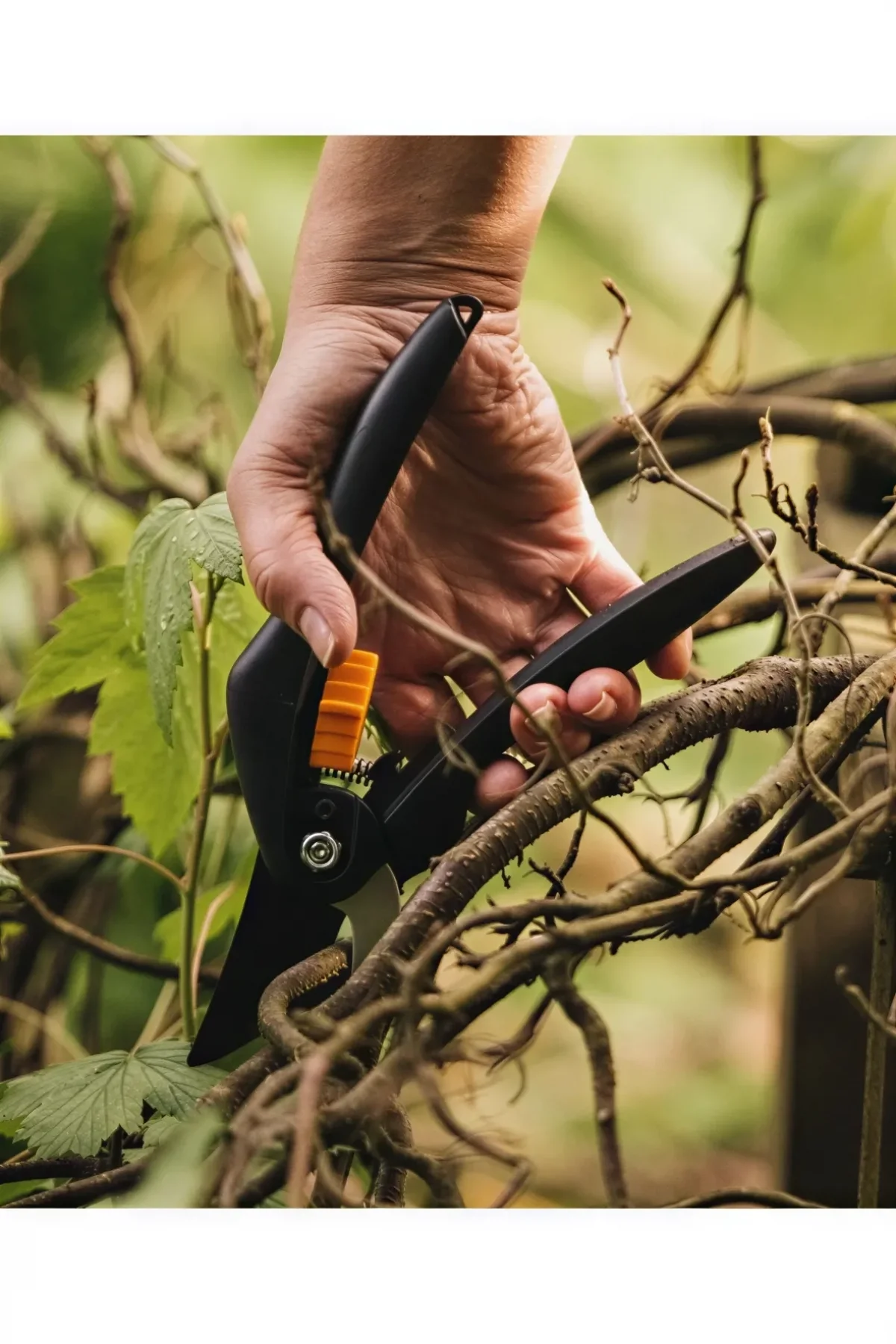 Fiskars P26 Single Step Bypass Budama Makası