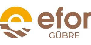 Efor