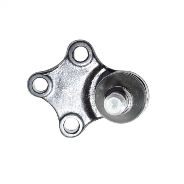 Rotil (Çin Muadil) | Ck Echo