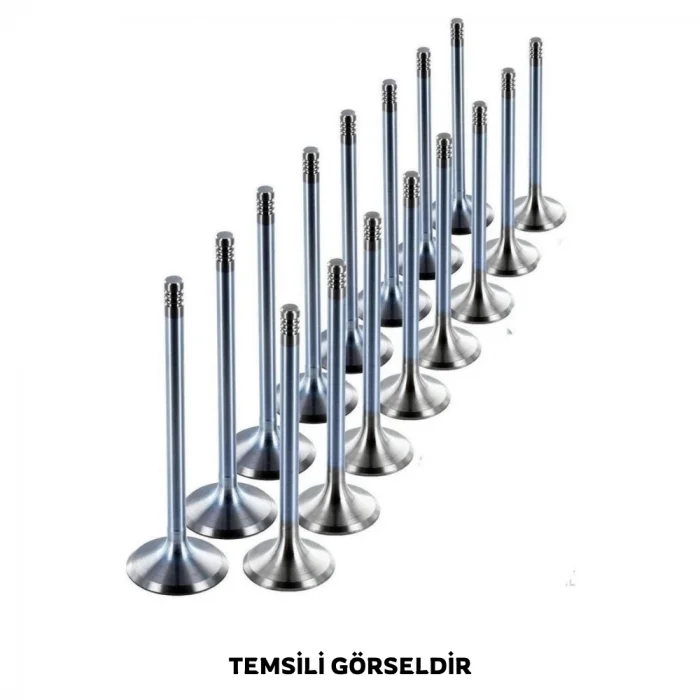 Subap Takımı (Çin Muadil) | Succe