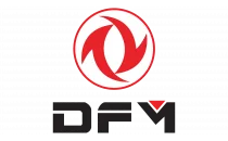 DFM