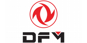 DFM
