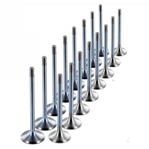 Subap Takım (Kore Muadil) | Actyon Sports - Kyron