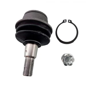 Üst Rotil (Kore Muadil) | Actyon Sports - Kyron