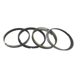 Segman Takımı 0.50mm (66.50mm) (Çin Muadil) | DFM Minivan 1.1