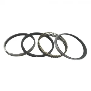 Segman Takımı Std (65.50mm) (Çin Muadil) | DFM Minivan 1.1