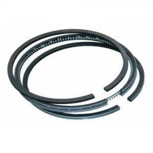 Segman Takımı STD (Çin Muadil) | Dfsk C31-C32 Kamyonet - C35 Panelvan