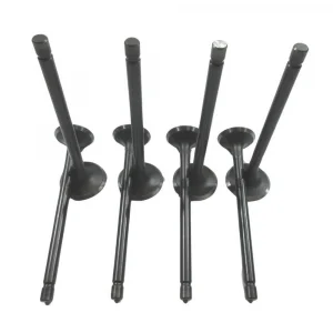 Subap Takımı 16V (Çin Muadil) | DFM Minivan 1.3