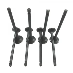 Subap Takımı (Çin Muadil) | DFM Minivan 1.1