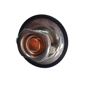 Termostat (Çin Muadil) | Dfsk C31-C32 Kamyonet - C35 Panelvan