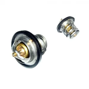 Termostat (Çin Muadil) | Mk Familia - Ck Echo