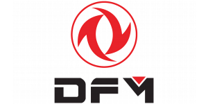 DFM