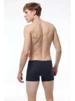 Malabadi Erkek Füme Premium Collection Modal Boxer