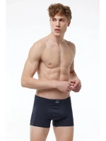 Malabadi Erkek Füme Premium Collection Modal Boxer