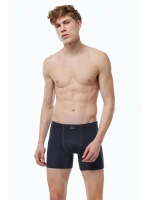 Malabadi Erkek Füme Premium Collection Modal Uzun Boxer