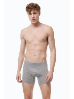 Malabadi Erkek Gri Premium Collection Modal Uzun Boxer