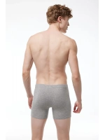 Malabadi Erkek Gri Premium Collection Modal Uzun Boxer