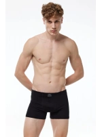 Malabadi Erkek Siyah Premium Collection Modal Boxer