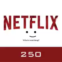 Netflix Gift Card 250 TL TURKEY