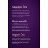 Ultimate Night Repair Serum: The Restorative Power of Night - 30 ML