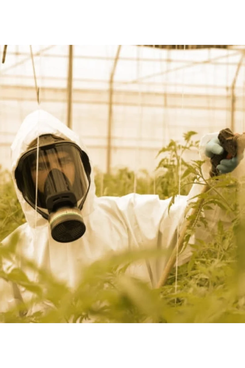 MİLLA TAM YÜZ MASKESİ PANAREA 7000-Full Face Mask