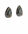 Silver Çelik Küpe 02