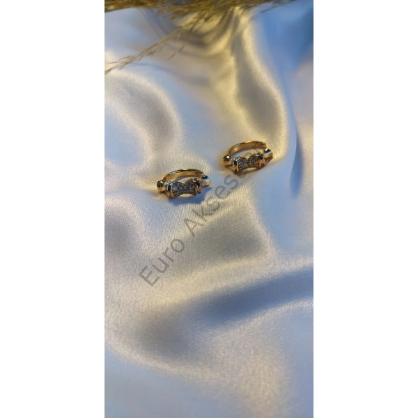 Taş Detaylı Vip Küpe Rose