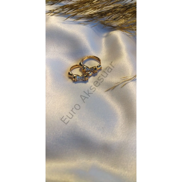 Taş Detaylı Vip Küpe Rose