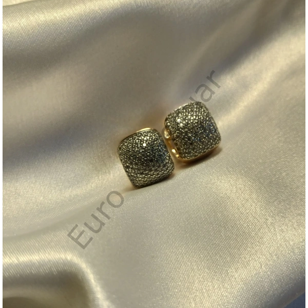 VIP Taş Detaylı Küpe