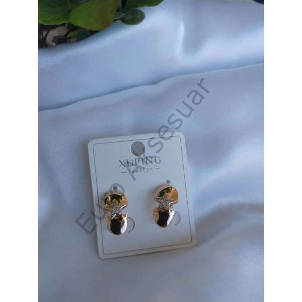 Yıldız Detaylı Vip Küpe 04