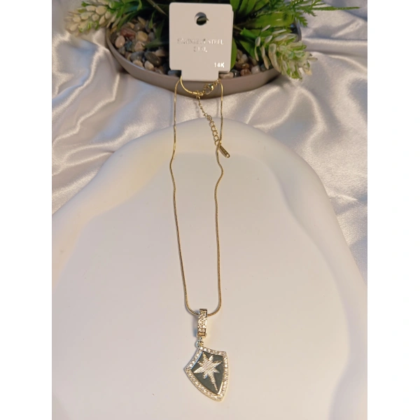 14 K Kaplama Kutup Yıldızı Detaylı Çelik Kolye