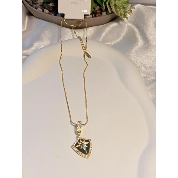 14 K Kaplama Kutup Yıldızı Detaylı Çelik Kolye