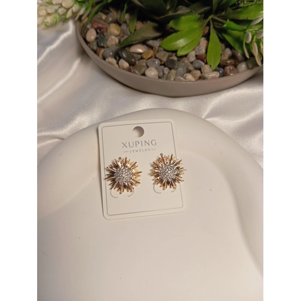 Xuping Jewelry Zirkon Taş Detaylı Küpe