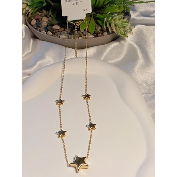 14 K Kaplama Çelik Yıldız Detaylı Kolye