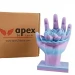 Apex3D Rainbow PLA Filament - Sakura Sky