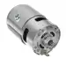 RS775 24V 6000 RPM DC Motor