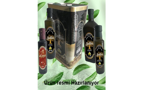 Ağaçtan Zeytine Zeytinyağı Yapımı