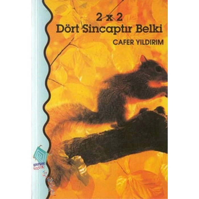 2 x 2 Dört Sincaptır Belki