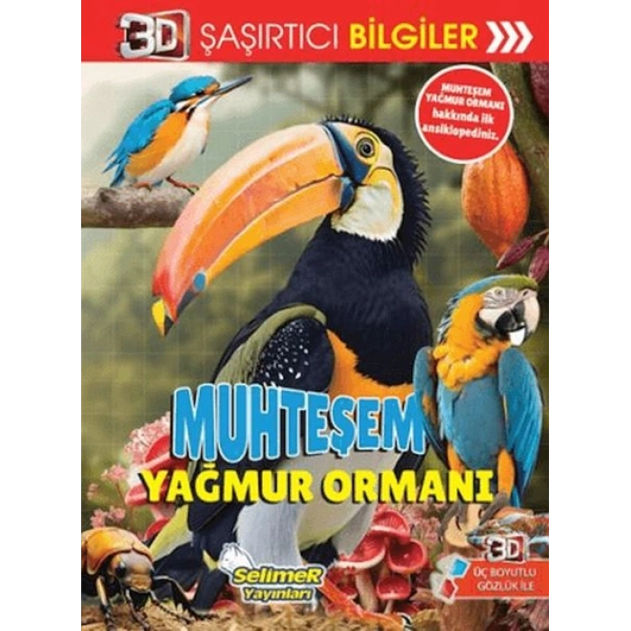 3D Şaşırtıcı Bilgiler - Muhteşem Yağmur Ormanı
