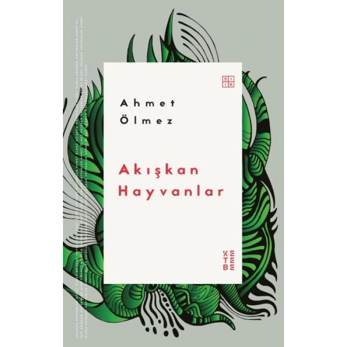 Akışkan Hayvanlar