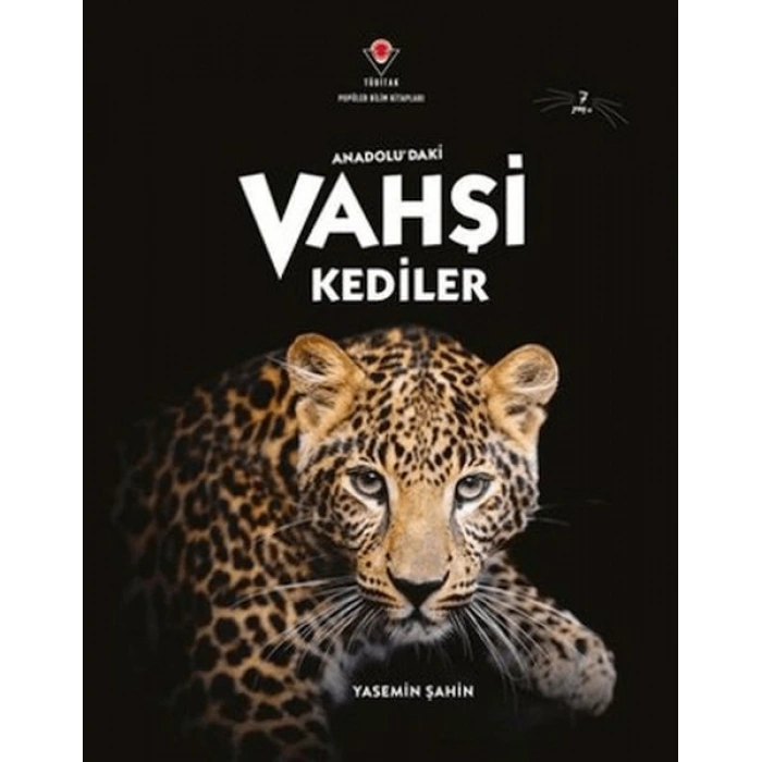 AnadoluDaki Vahşi Kediler