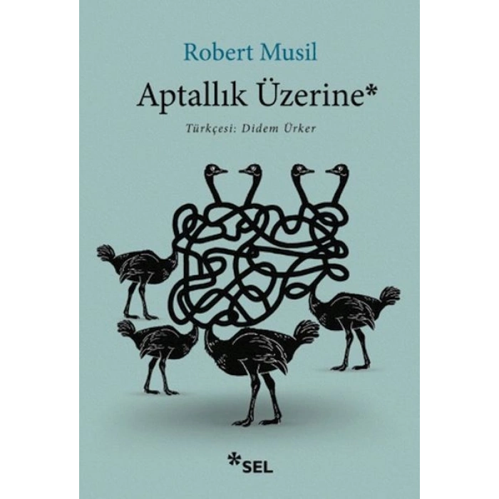 Aptallık Üzerine