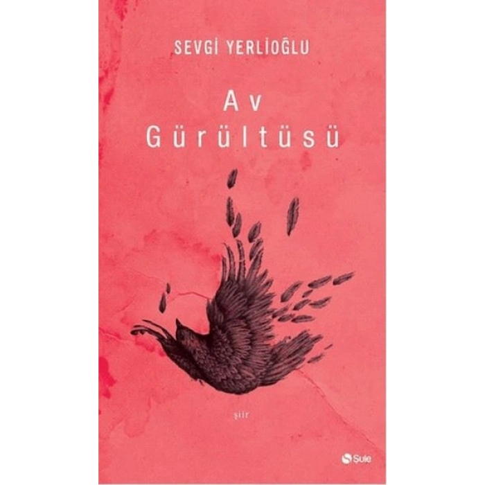 Av Gürültüsü